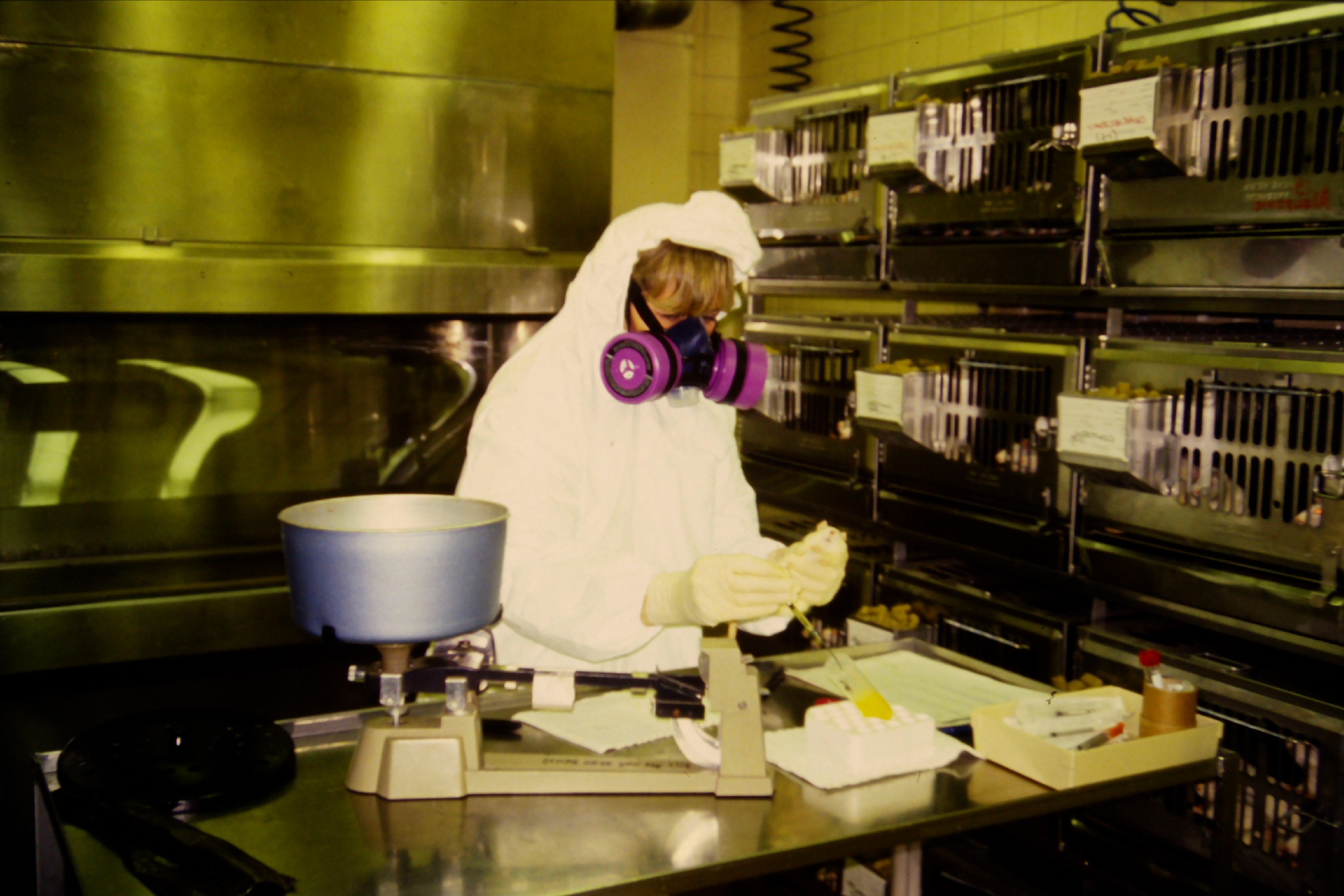 Megan handling DMBA